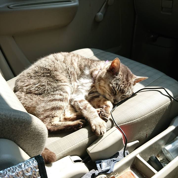 Da82aa51 bcd3 4667 98e2 0e29b5cf0821 1592719347301