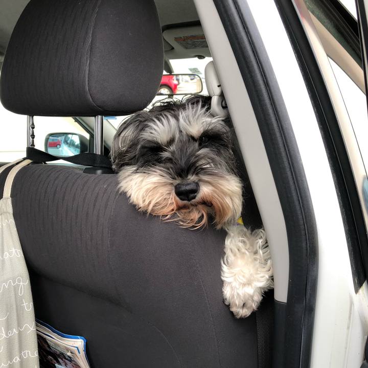 Da82bfe4 12d4 4ad5 8b76 c7da9d38e9a9 1549868583398