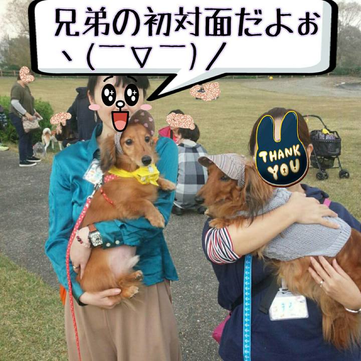 Da82c5c7 f521 4af3 96d0 23df982ef0b2 1509794850649