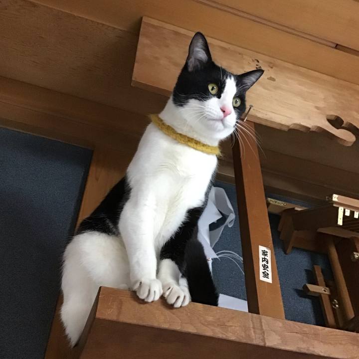 Da82f702 1294 4ed1 9f09 609eabd3479a 1645602117535