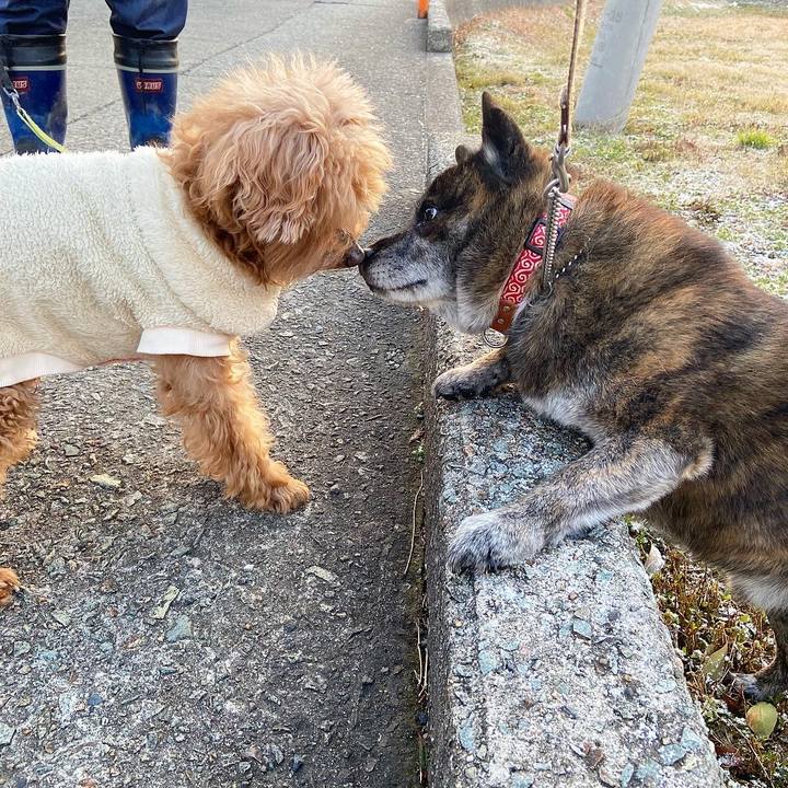 Da82fd06 2071 4dc6 9c4c a91c571efb9a 1614381898301