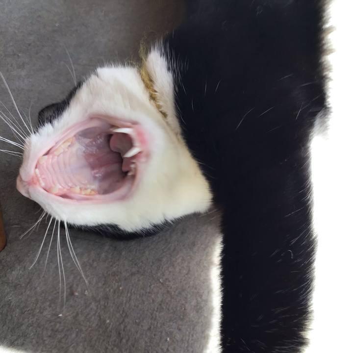 Da83042b b987 4a7e b26a 59a36f63479c 1648446203314