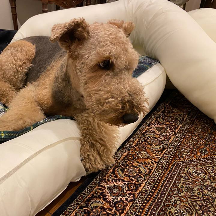 Da830fa7 056d 4366 8377 ac22fd480fbd 1640907651700