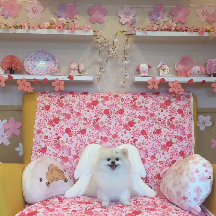 Da835c18 717f 4bb9 a728 8c8fd2dea8ff 1617603344280