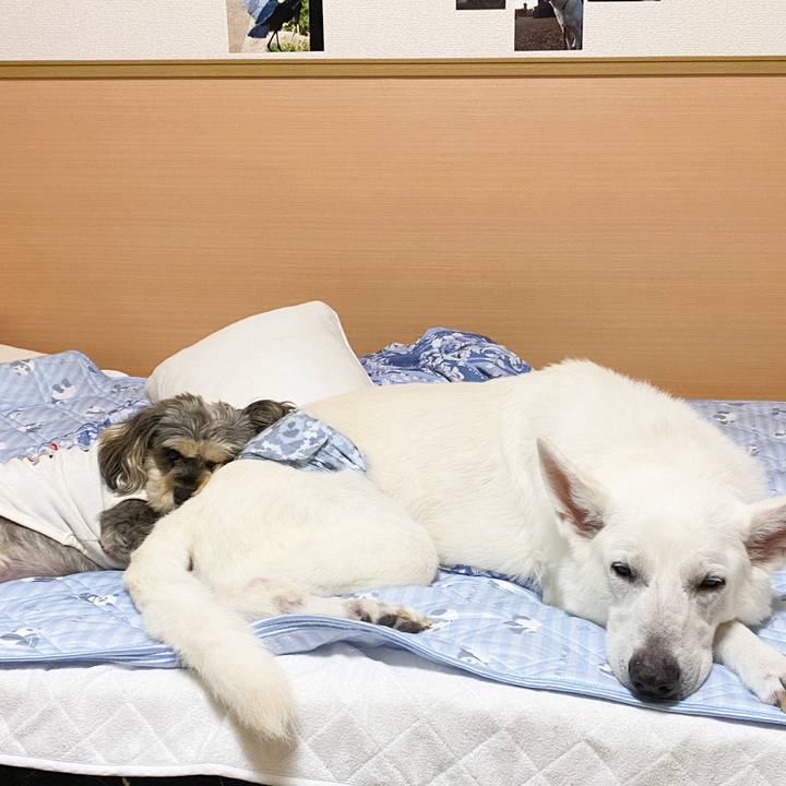 Da839888 478b 491f 8fb0 e8d0891ec0da 1667241555910