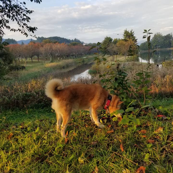 Da83db54 b862 46fc 86bb 1f755ec53963 1728977454512