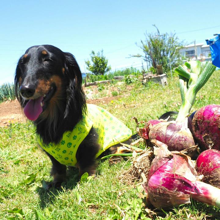 Da83f9c0 cf15 4365 8255 3f4ead1b47c5 1558586503691