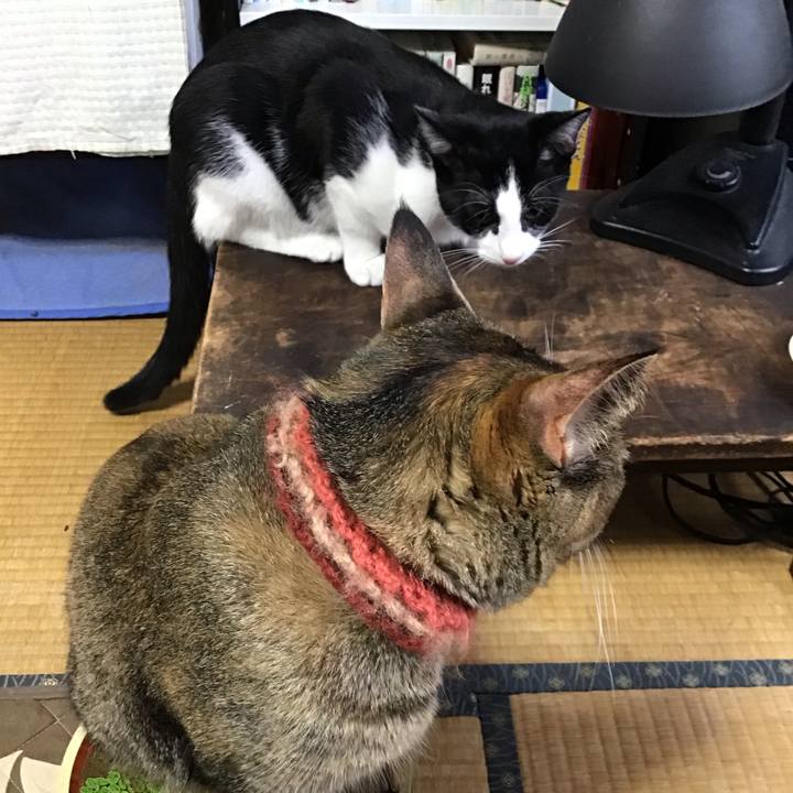 Da8428d3 3822 4dd7 a30f 9f02afa4a6c3 1634089334154