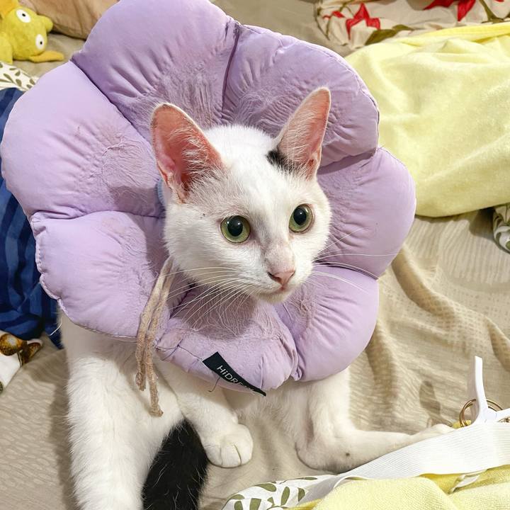 Da843b8e 00b6 46e2 85aa 236fac1bfc91 1759445407545