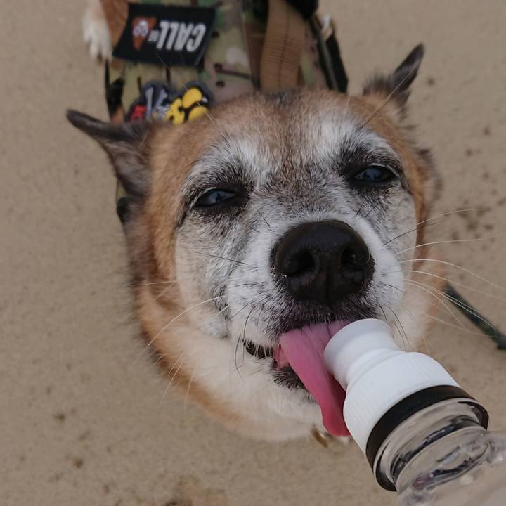 Da84c151 72f6 42dd b4a5 217bb4063d4d 1559349587793