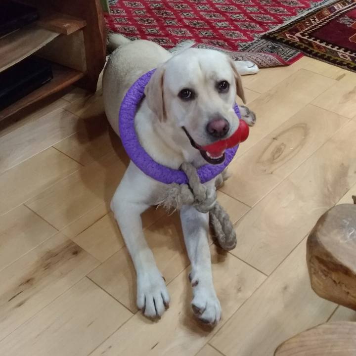 Da84cb81 0880 4cae 8aad ab83877784eb 1538402780394