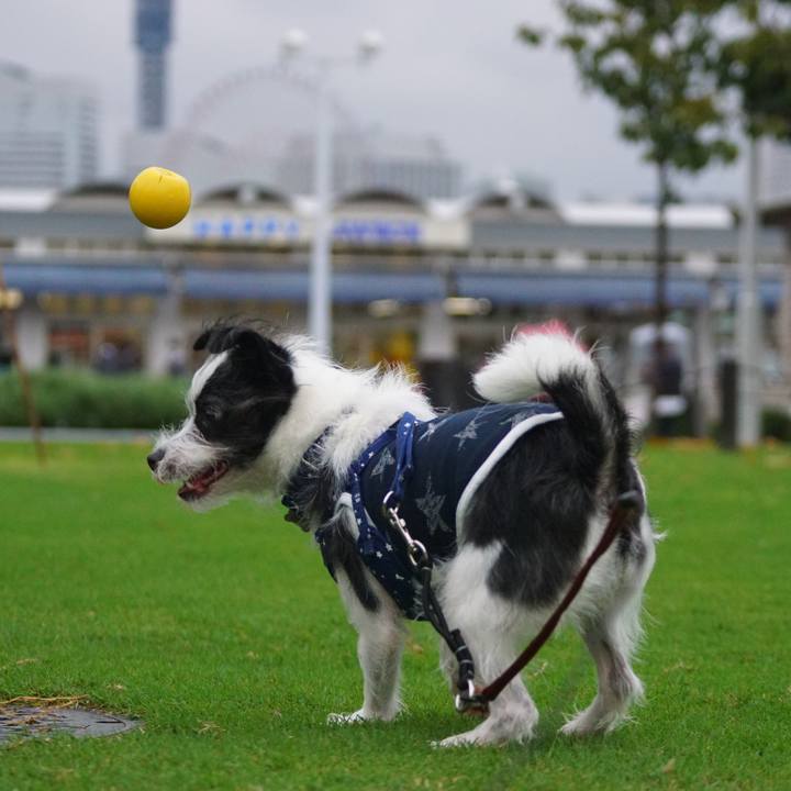 Da84d374 a0b6 4b1e 96ea 83717607a476 1538042104746