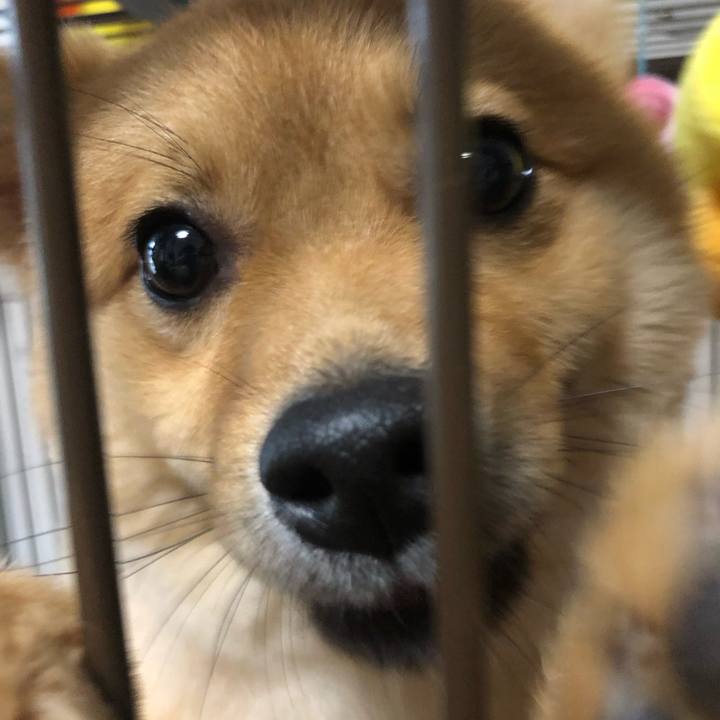 Da84fb59 cbc5 4801 baaf 50cbc4f4149b 1594439346194