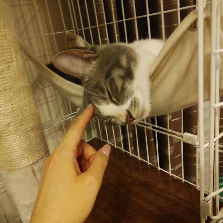 Da852cfd ffa5 4ae6 9984 86ecc44e2a7c 1594985152706