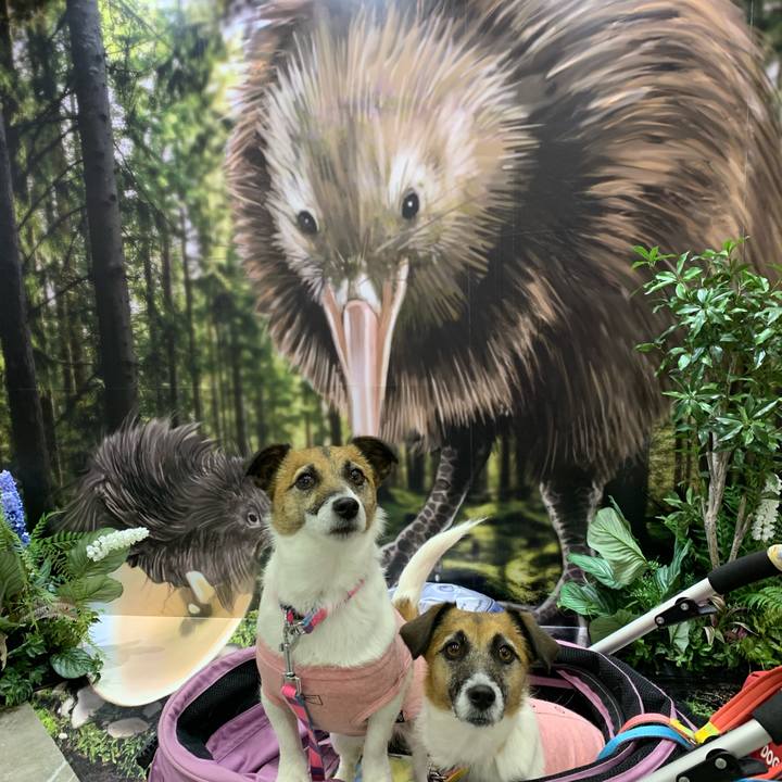 Da853d4c baee 44ac 9749 48e7e0775997 1648983075268