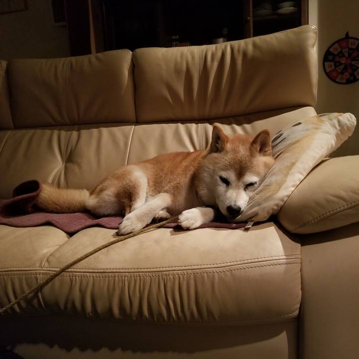 Da85e471 d27c 4a18 b770 25490840967a 1721988515191