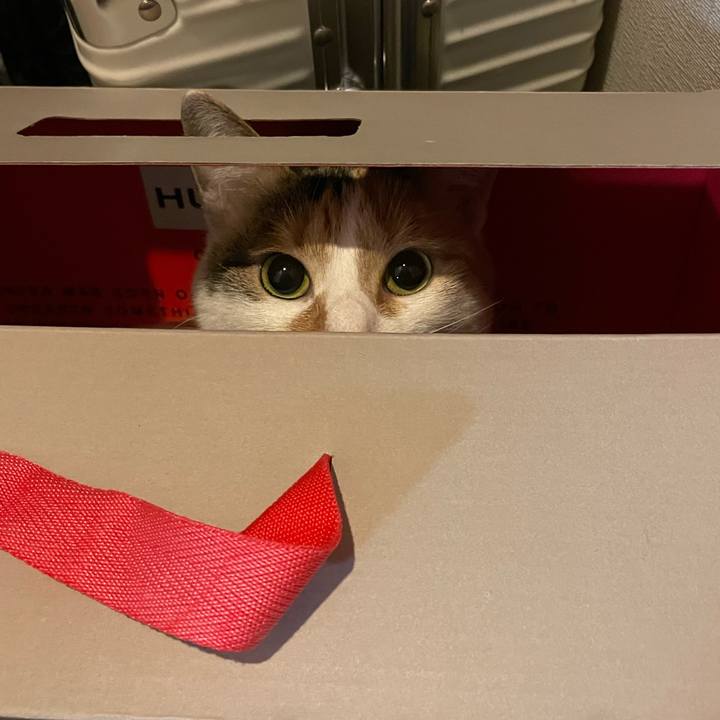 Da862e28 20ad 47c6 98e2 c49090c900f2 1638330117008