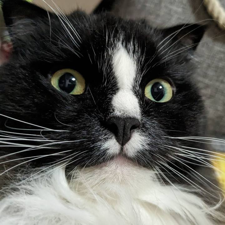 Da86317c 3f72 48c3 8dc7 a65867c67212 1694866276051