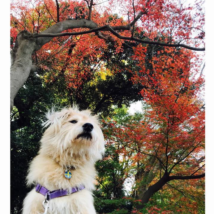 Da867dd9 ec30 4aea aca4 3bccda9f6798 1544240252563