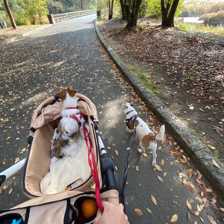 Da867ddb 3115 48be bcbf a7a07f9de2db 1637462883877