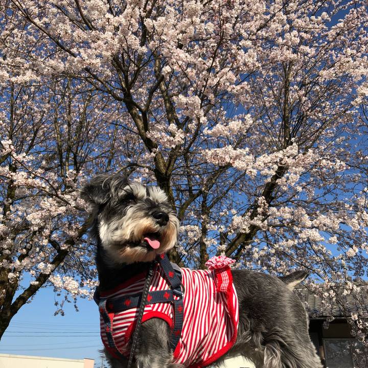 Da86844f a1ef 45a9 a24c 778e677f14cb 1649469264088