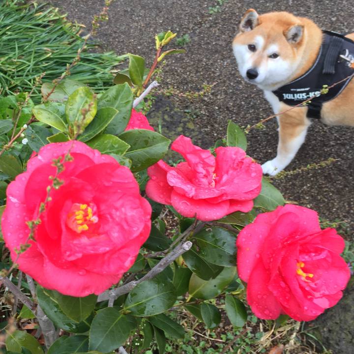 Da8696fb 75cc 4cf3 83c5 ecb22ae73388 1615172908200