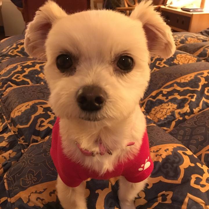 Da869ba9 bca0 42b1 9be2 a1517468bdfb 1511942357327