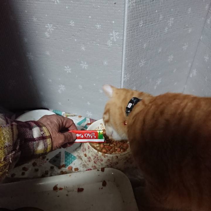 Da86a27a ce5d 4f27 ac82 98d4aa4d355b 1639343410252