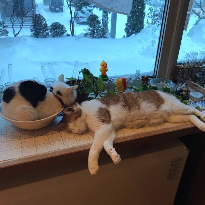 Da86bd67 c095 41ae 9d8a cafd99a37471 1548885407999