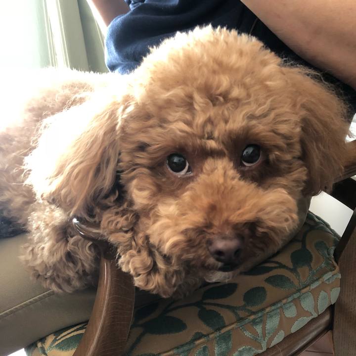 Da86ce16 ac7d 45c3 93a3 442d74da1e9f 1517634103474