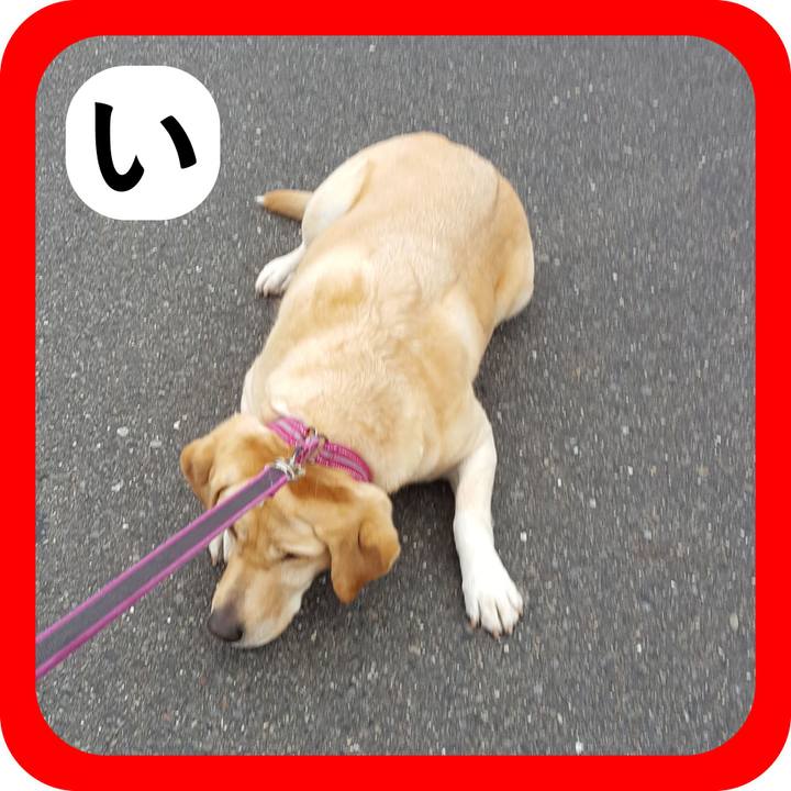 Da86e346 4019 4ba7 9a0a 0307458d6fe8 1515212063855