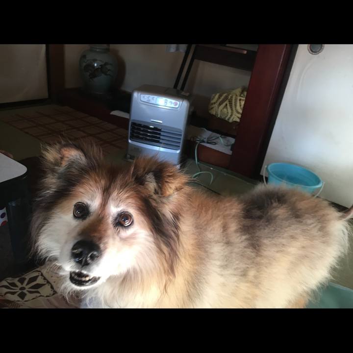 Da8758c5 67c3 4455 bf53 aed64b731b7d 1617742663865