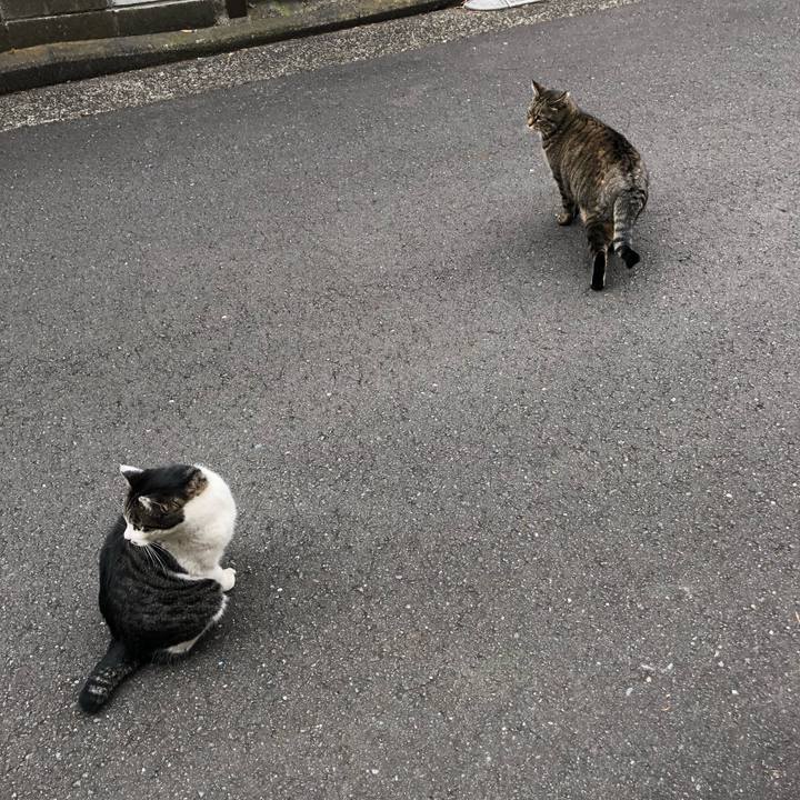 Da879262 3044 418c afb8 f11c5a9c5e6f 1515153106742