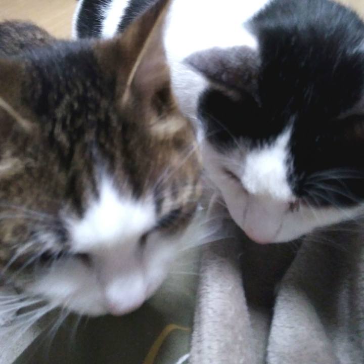 Da87c2c6 33ea 417d 993e 41bf19451887 1551956749437