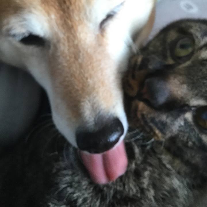 Da87e0d8 7751 465d ac44 8dbfdc659b20 1614830513999