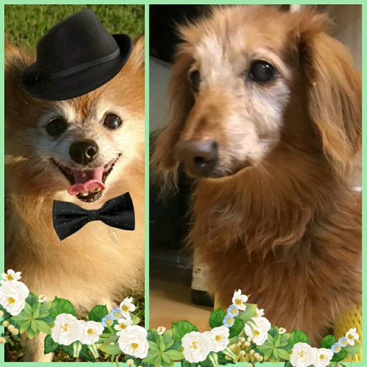 Da87e834 b387 4ca3 9de3 883f633a6406 1571644381310