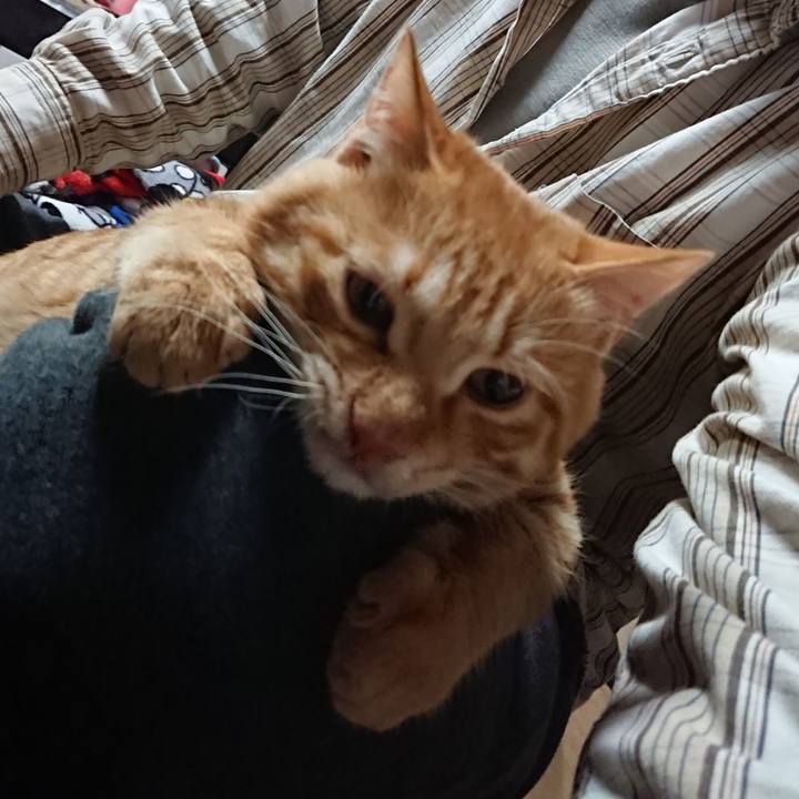 Da87e89e 4e84 4c8a b4be 539c99bb5fa4 1638097202077