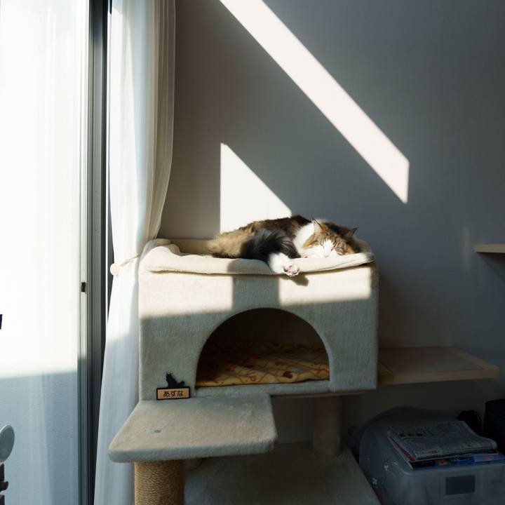 Da8801a4 8f1b 4351 bf31 edab2bfb2720 1731399266569