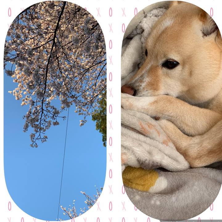 Da880c6d 0842 4f55 b633 57da6910b58b 1616970537533