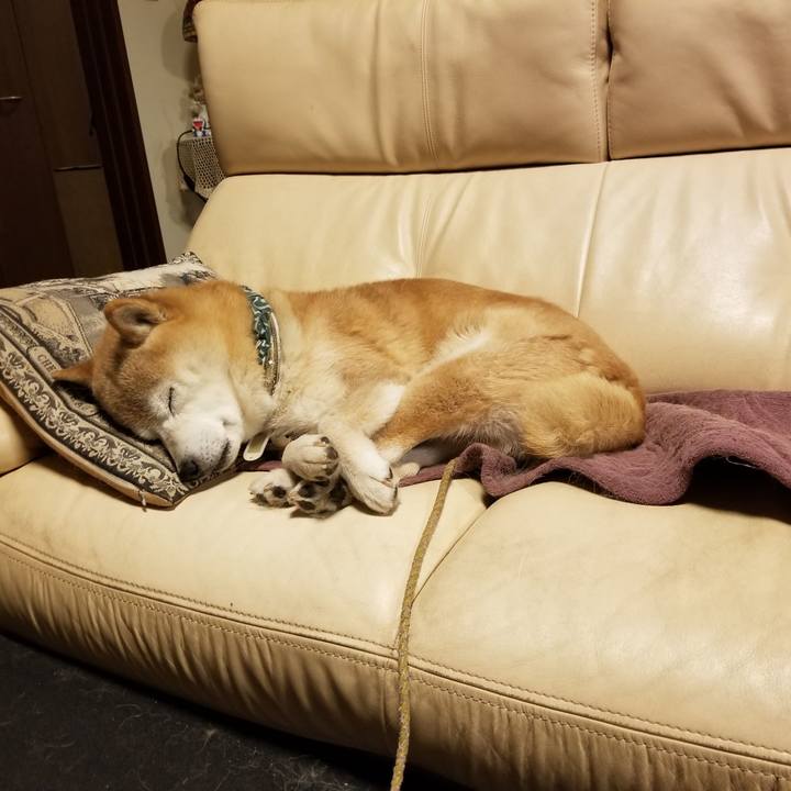 Da88616c 5802 4a78 910f 58a886641435 1706133183743