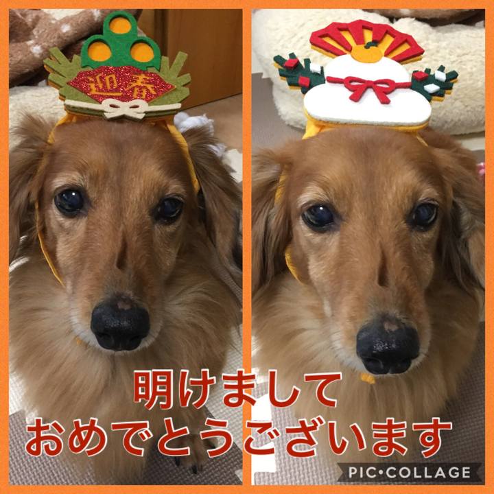 Da88cac7 3667 46d5 9d35 eb3698d3173f 1546329519397