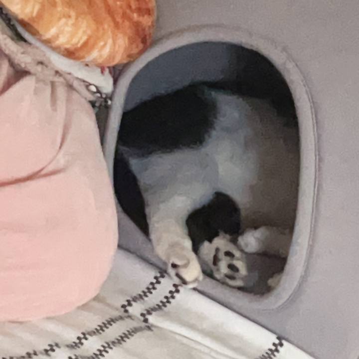 Da88da64 9a30 4e2f b176 6d05c1bdc9dd 1690620710088