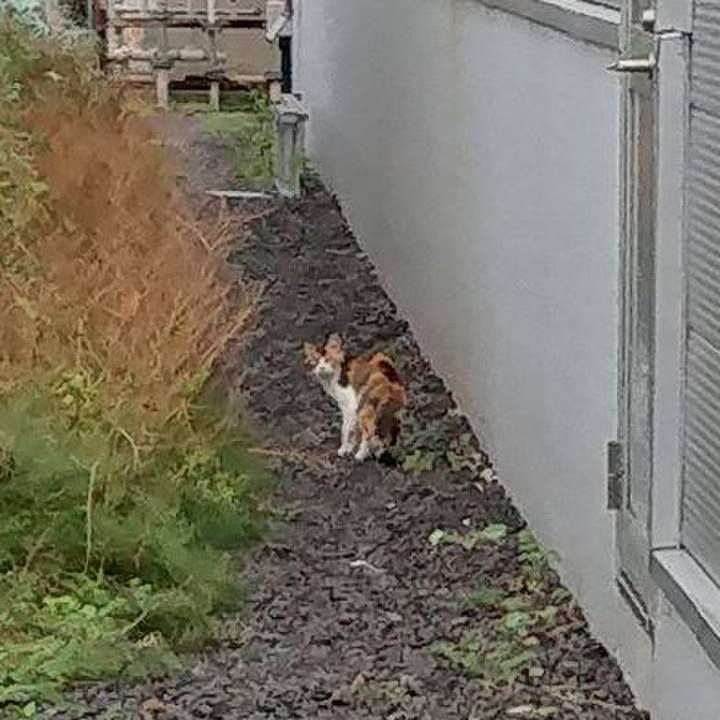 Da88fc0f 003d 40b2 bccb 89053417fc26 1568724083181