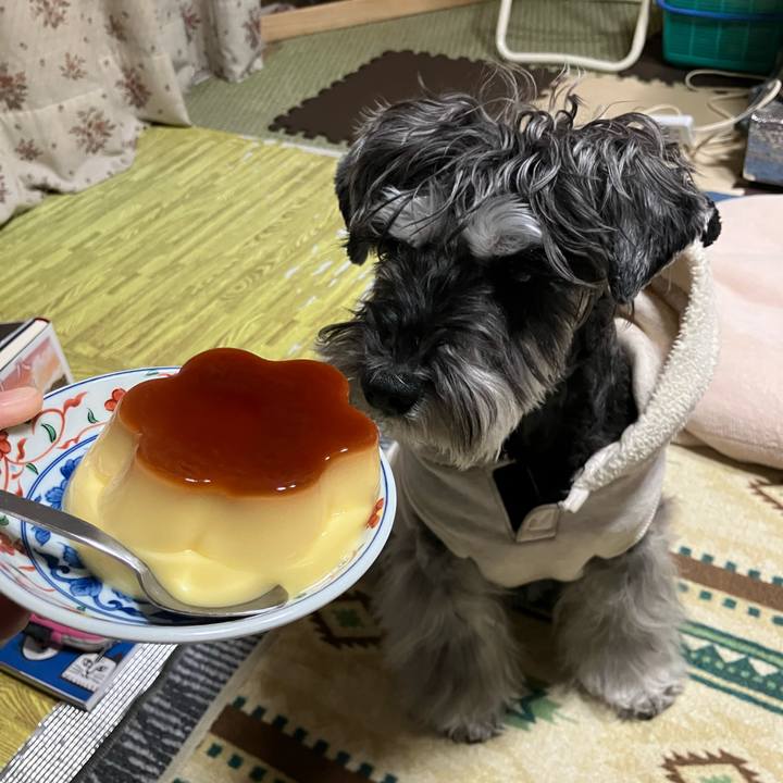 Da893954 2ffe 4d5e 8e37 5d1979a62eb6 1738153932477