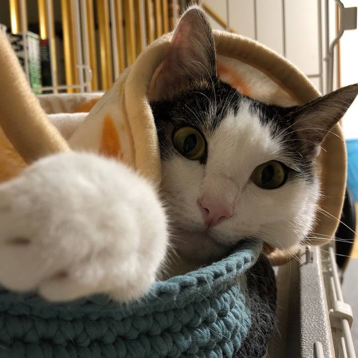 Da8983b5 561b 4b00 9231 7fd5790fa82a 1629037355911