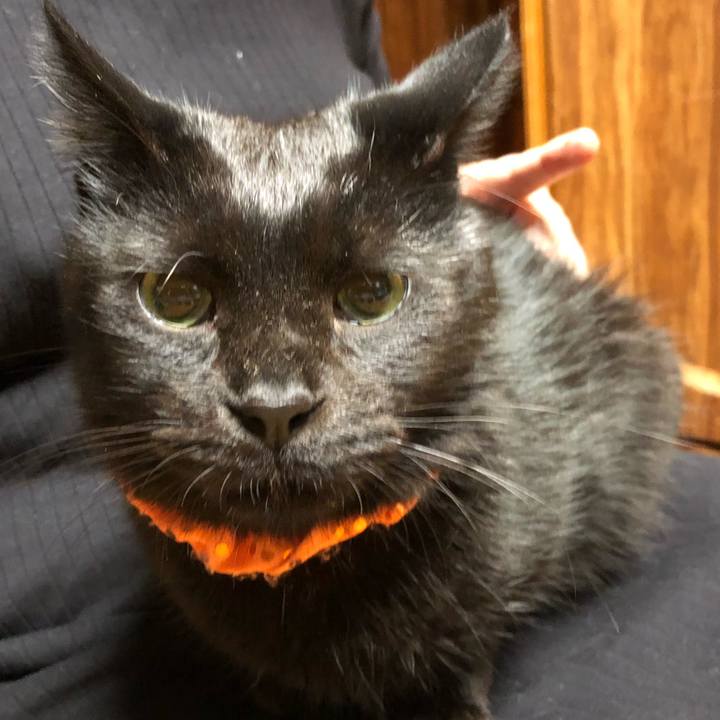 Da899bd0 d205 4e8f b4bf 312822b793f5 1572005201116