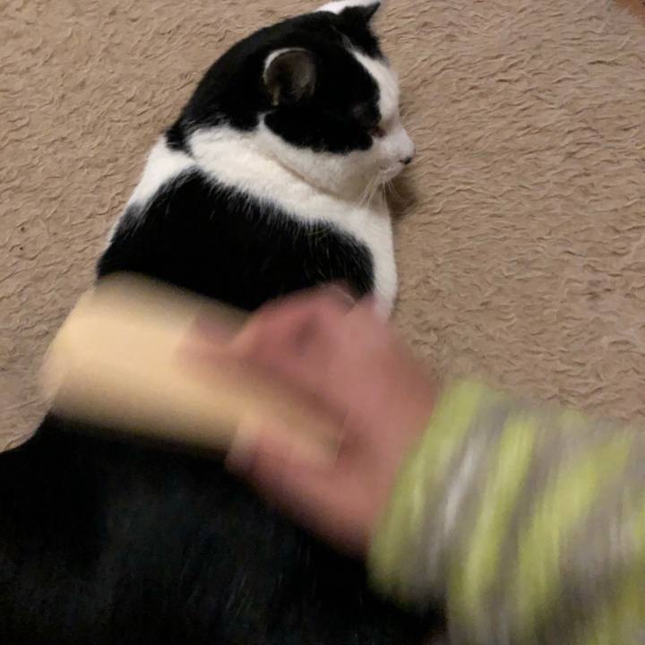 Da89c7fb 4d8e 431d b83c 9efac6385b25 1546614451844