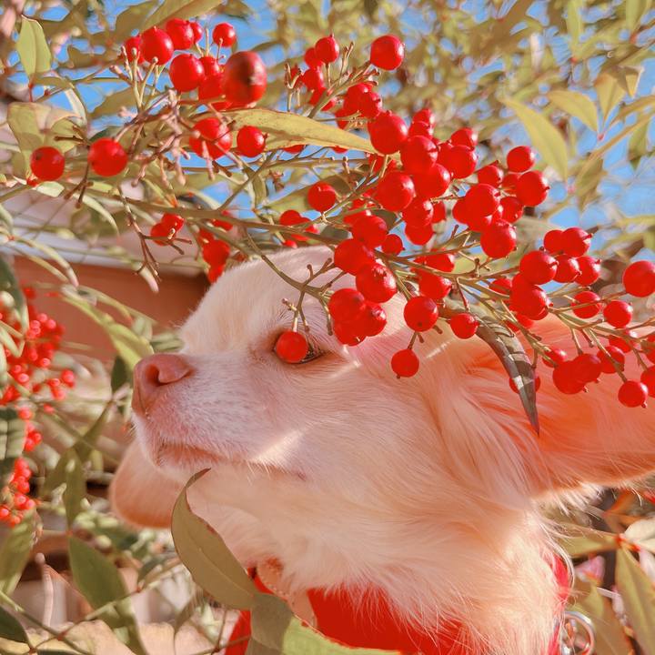 Da89d31a 4bd6 4dc9 bbc2 e089e43f0eec 1670481542953