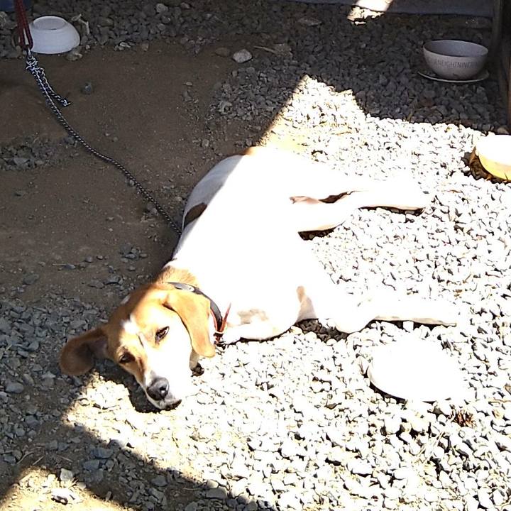 Da89d41b 2e60 492a 89dc 8d128a7726ed 1622437808980