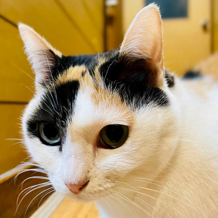 Da8a12f6 ae30 4103 b434 fe37f4204ab8 1604109831655